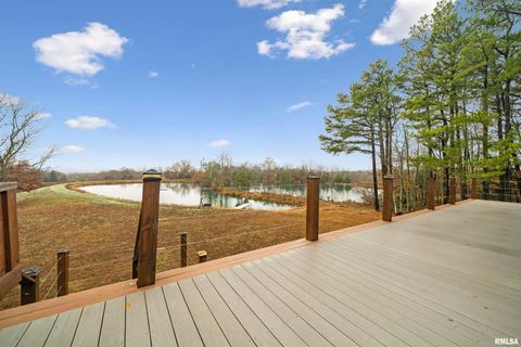 Tiny photo for 1115 HILLTOP Lane, Simpson, IL 62985 (MLS # EB460029)