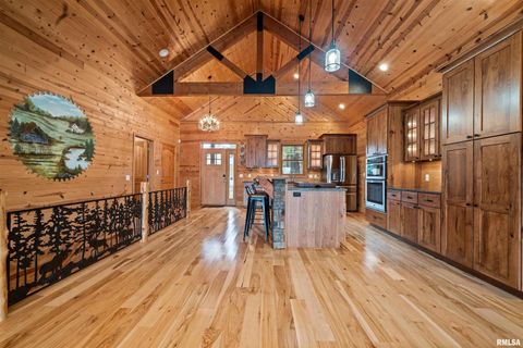 Tiny photo for 1115 HILLTOP Lane, Simpson, IL 62985 (MLS # EB460029)