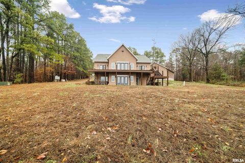 Tiny photo for 1115 HILLTOP Lane, Simpson, IL 62985 (MLS # EB460029)