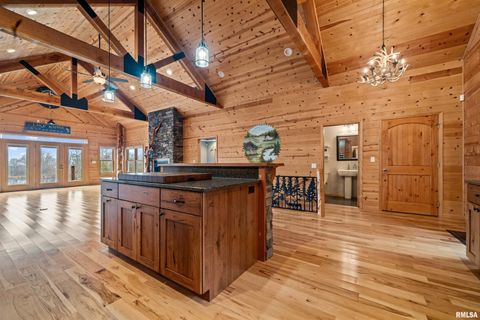 Tiny photo for 1115 HILLTOP Lane, Simpson, IL 62985 (MLS # EB460029)