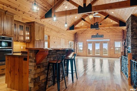 Tiny photo for 1115 HILLTOP Lane, Simpson, IL 62985 (MLS # EB460029)