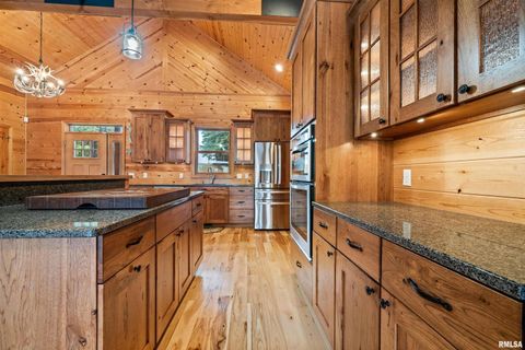 Tiny photo for 1115 HILLTOP Lane, Simpson, IL 62985 (MLS # EB460029)