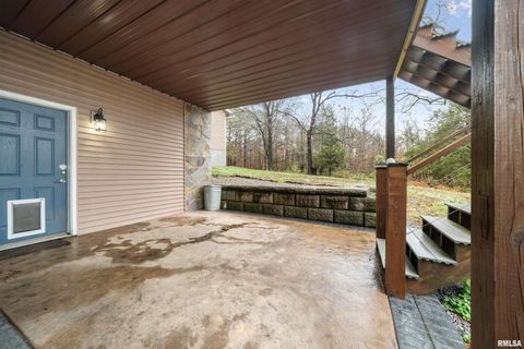 Tiny photo for 1115 HILLTOP Lane, Simpson, IL 62985 (MLS # EB460029)