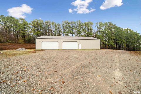 Tiny photo for 1115 HILLTOP Lane, Simpson, IL 62985 (MLS # EB460029)