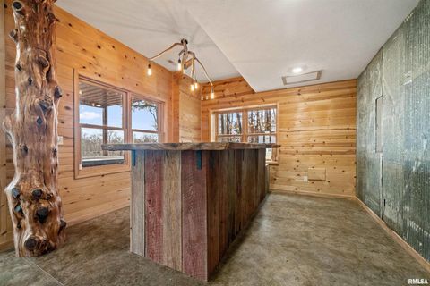 Tiny photo for 1115 HILLTOP Lane, Simpson, IL 62985 (MLS # EB460029)