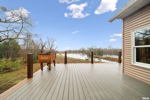 Tiny photo for 1115 HILLTOP Lane, Simpson, IL 62985 (MLS # EB460029)