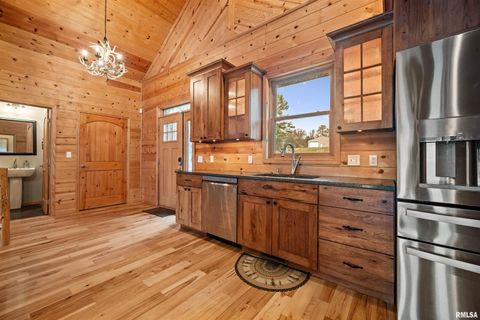 Tiny photo for 1115 HILLTOP Lane, Simpson, IL 62985 (MLS # EB460029)