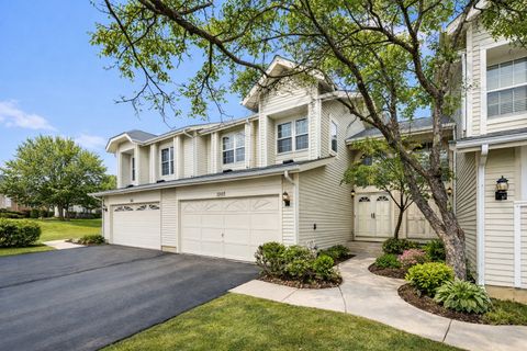 616 Manomet Court Schaumburg IL 60173