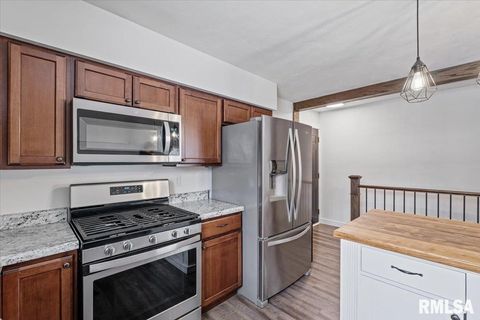 Tiny photo for 102 AMBER Lane, Geneseo, IL 61254 (MLS # QC4269769)