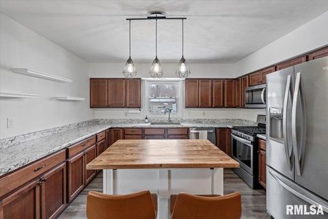 Tiny photo for 102 AMBER Lane, Geneseo, IL 61254 (MLS # QC4269769)