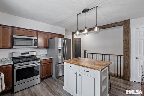 Tiny photo for 102 AMBER Lane, Geneseo, IL 61254 (MLS # QC4269769)