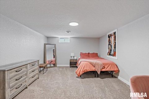 Tiny photo for 102 AMBER Lane, Geneseo, IL 61254 (MLS # QC4269769)