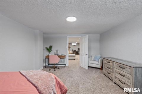 Tiny photo for 102 AMBER Lane, Geneseo, IL 61254 (MLS # QC4269769)