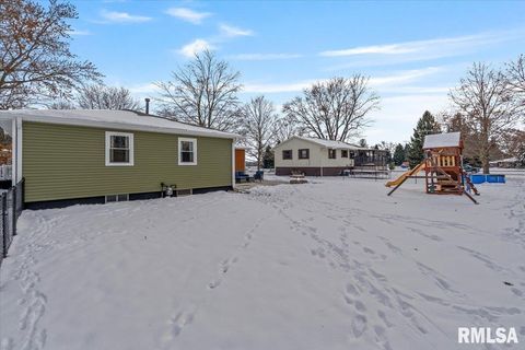 Tiny photo for 102 AMBER Lane, Geneseo, IL 61254 (MLS # QC4269769)