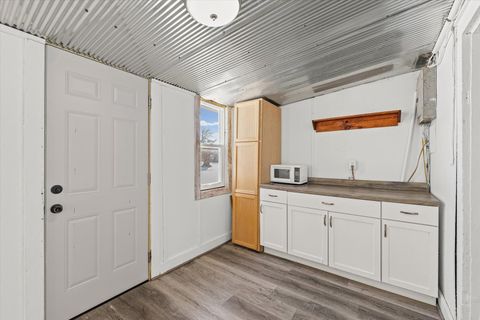 Tiny photo for 214 S Railroad Avenue, Buckley, IL 60918 (MLS # 12528370)