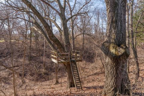 Tiny photo for 28147 217th Street, Le Claire, IA 52753 (MLS # 12599728)