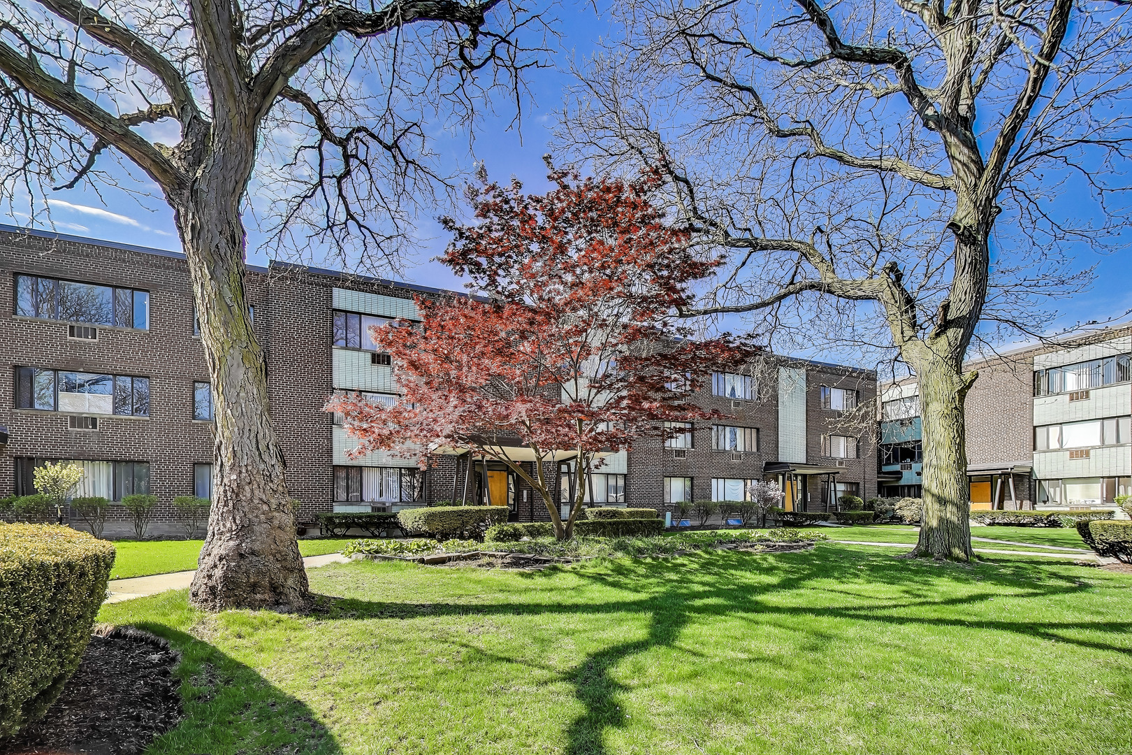 3441 W Bryn Mawr Avenue 1E