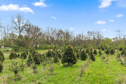 MLS: 12659482