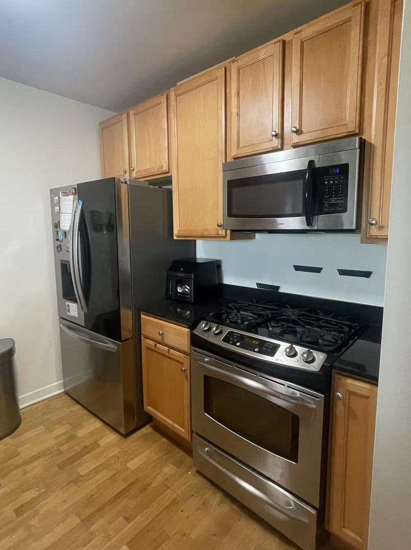 1160 S Michigan Avenue 1404