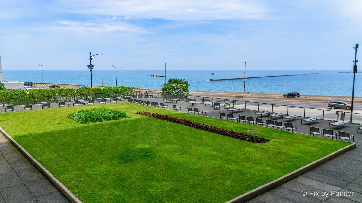 910 N LAKE SHORE Drive 1316