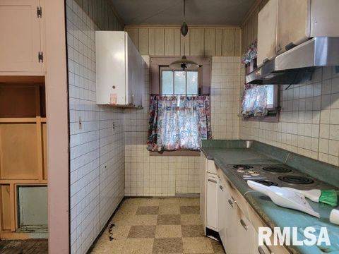 Tiny photo for 101 S 6TH Street, Murphysboro, IL 62966 (MLS # EB458982)