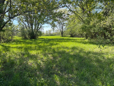 MLS: 12619838