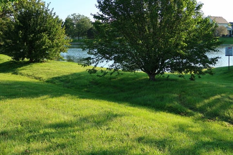 Tiny photo for 3252 Ridgefield Court, Lockport, IL 60441 (MLS # 12558114)