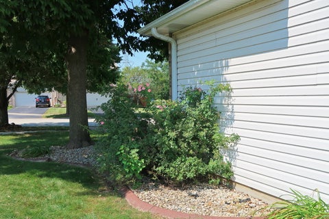 Tiny photo for 3252 Ridgefield Court, Lockport, IL 60441 (MLS # 12558114)