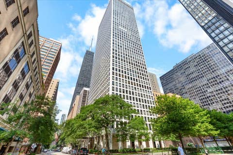 Photo of 260 E Chestnut Street #303, Chicago, IL 60611 (MLS # 12725535)