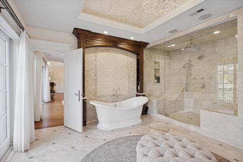 Tiny photo for 321 E 9th Street, Hinsdale, IL 60521 (MLS # 12546702)