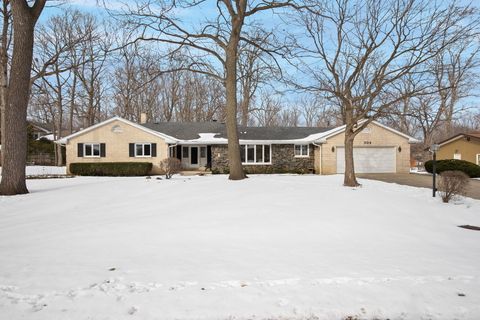 304 E Tall Trees Lane Palatine IL 60067