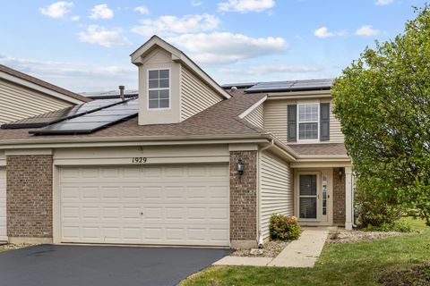 1929 Diamond Head Trail Pingree Grove IL 60140