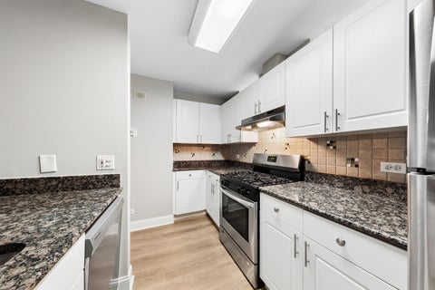 Tiny photo for 301 W Goethe Street #201, Chicago, IL 60610 (MLS # 12764375)