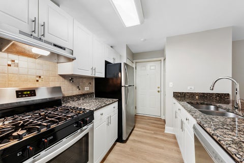 Tiny photo for 301 W Goethe Street #201, Chicago, IL 60610 (MLS # 12764375)