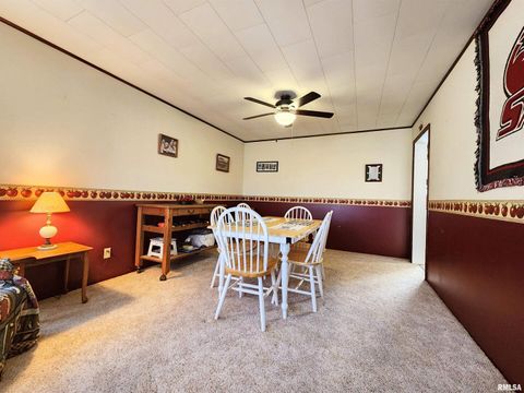 Tiny photo for 355 CHESTNUT Street, Alto Pass, IL 62905 (MLS # EB460472)