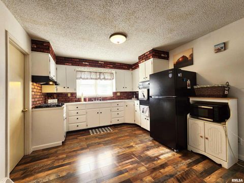 Tiny photo for 355 CHESTNUT Street, Alto Pass, IL 62905 (MLS # EB460472)