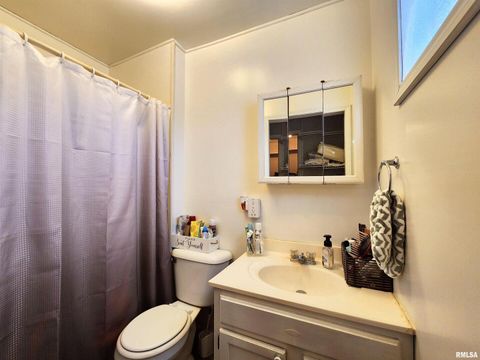 Tiny photo for 355 CHESTNUT Street, Alto Pass, IL 62905 (MLS # EB460472)