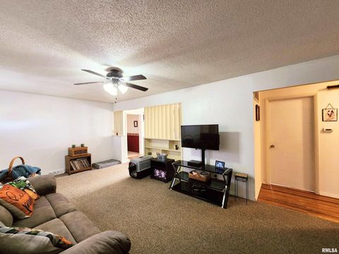 Tiny photo for 355 CHESTNUT Street, Alto Pass, IL 62905 (MLS # EB460472)