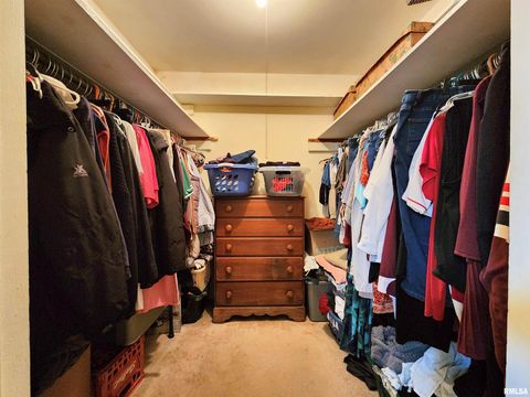 Tiny photo for 355 CHESTNUT Street, Alto Pass, IL 62905 (MLS # EB460472)