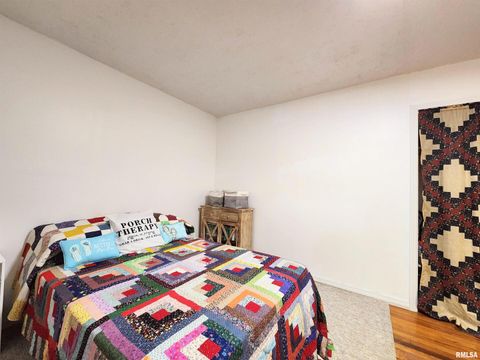 Tiny photo for 355 CHESTNUT Street, Alto Pass, IL 62905 (MLS # EB460472)