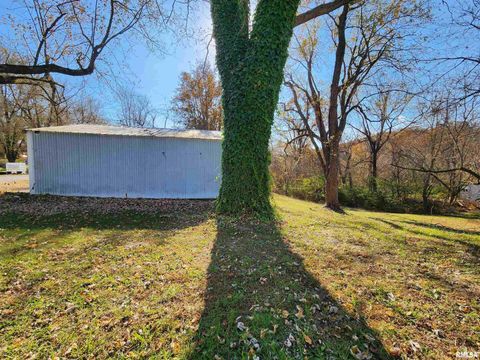 Tiny photo for 355 CHESTNUT Street, Alto Pass, IL 62905 (MLS # EB460472)