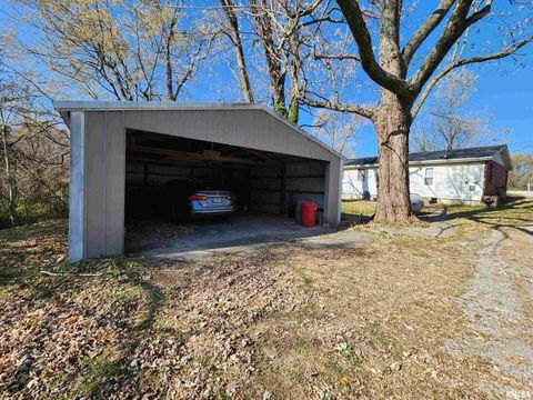 Tiny photo for 355 CHESTNUT Street, Alto Pass, IL 62905 (MLS # EB460472)