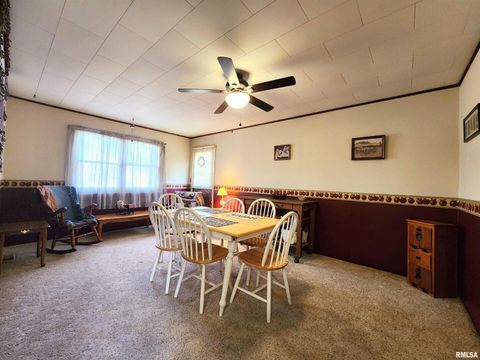 Tiny photo for 355 CHESTNUT Street, Alto Pass, IL 62905 (MLS # EB460472)