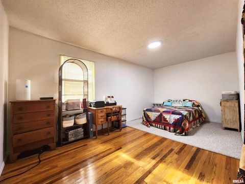 Tiny photo for 355 CHESTNUT Street, Alto Pass, IL 62905 (MLS # EB460472)