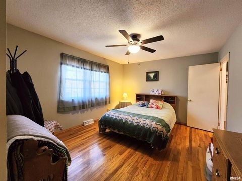 Tiny photo for 355 CHESTNUT Street, Alto Pass, IL 62905 (MLS # EB460472)