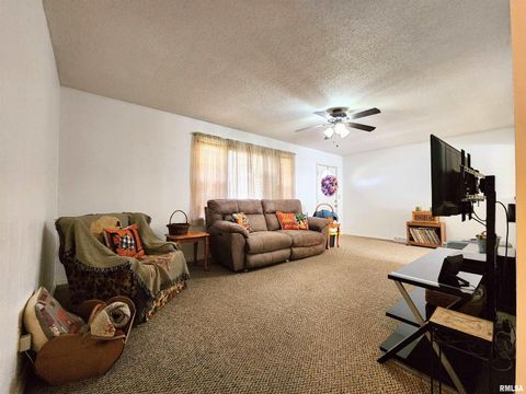 Tiny photo for 355 CHESTNUT Street, Alto Pass, IL 62905 (MLS # EB460472)