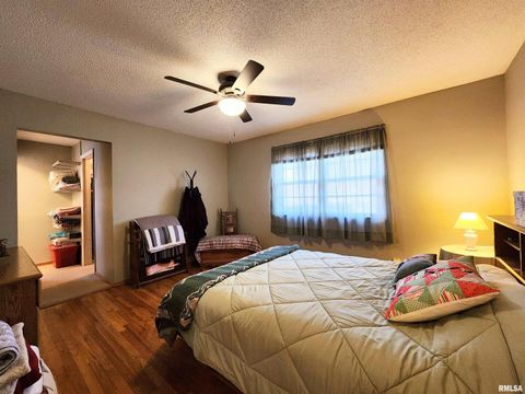 Tiny photo for 355 CHESTNUT Street, Alto Pass, IL 62905 (MLS # EB460472)