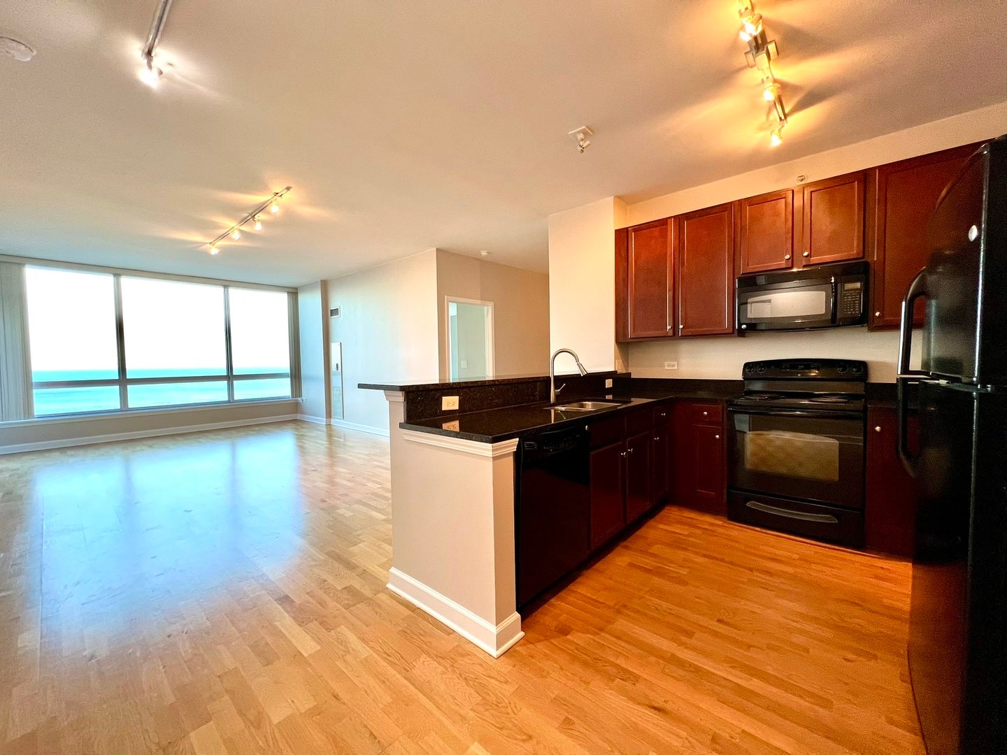 1901 S Calumet Avenue 2602