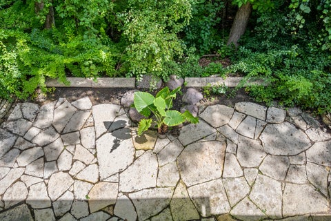 Tiny photo for 327 Marshman Avenue, Highland Park, IL 60035 (MLS # 12737417)