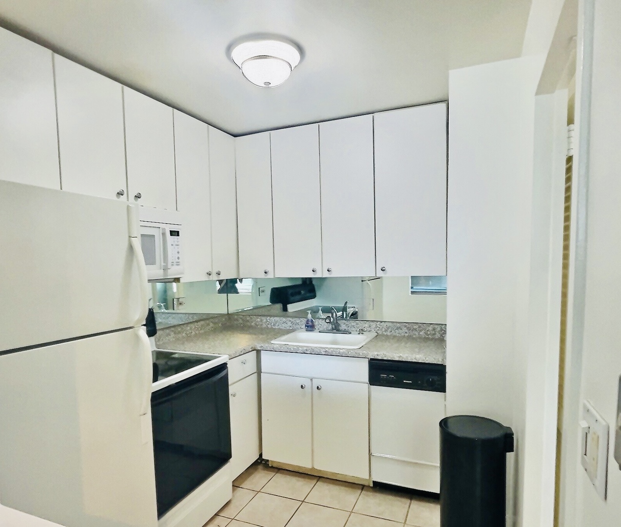 1255 N Sandburg Terrace 1608